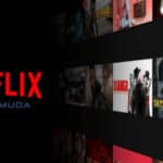 Netflix Mod Apk Free Download (Sub Indo)