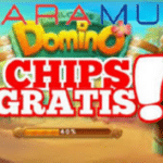 chips higgs gratis